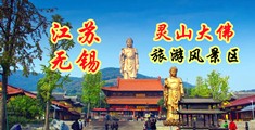 小骚屄欠插无码视频江苏无锡灵山大佛旅游风景区